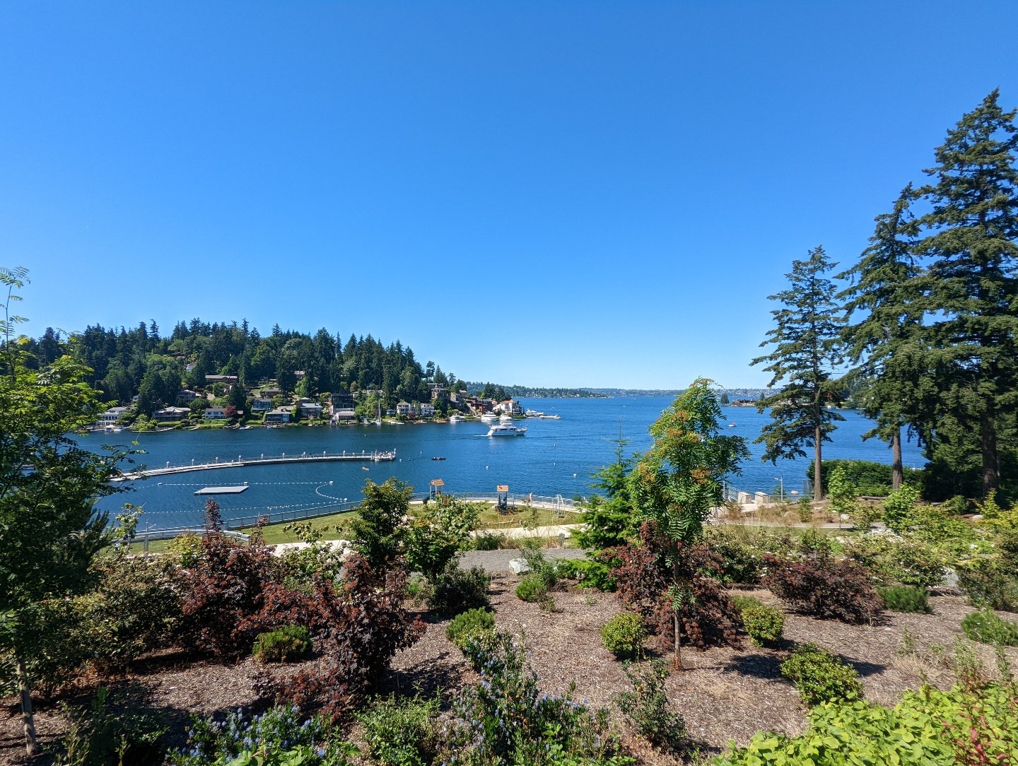 Meydenbauer Bay Park - Bellevue, WA