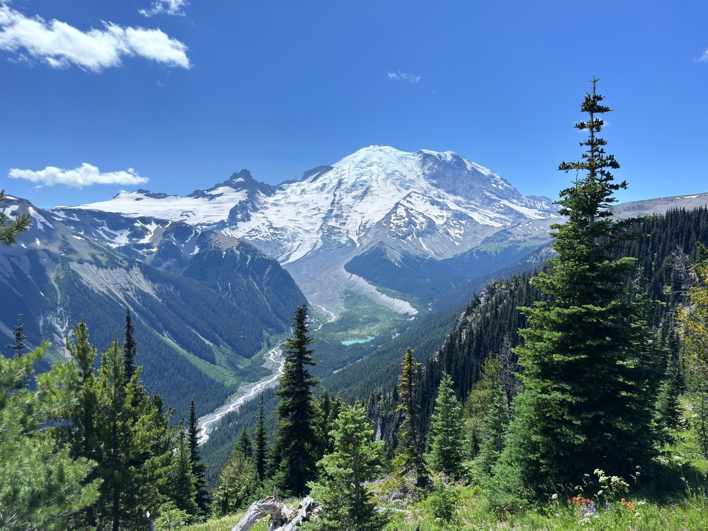 Comprehensive Digital Marketing Consultation with 1 Stop Link